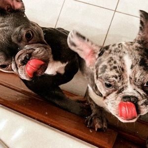 Meet your Posher, Make me laugh